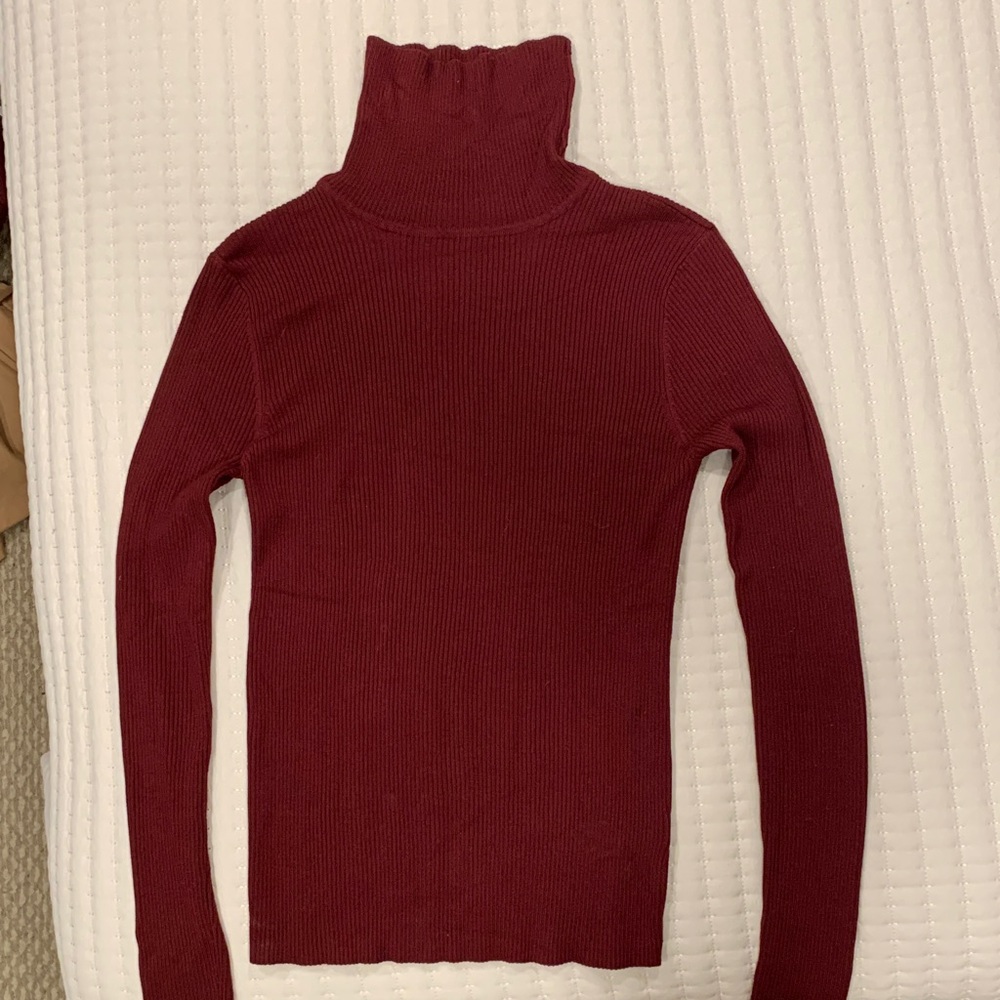Burgundy Ribbed Turtleneck Sweater